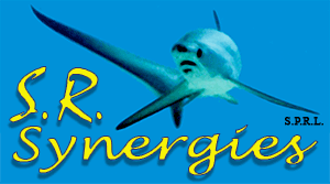 SRsynergies